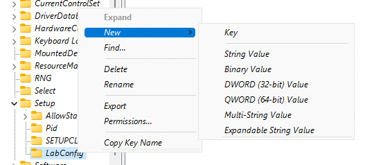 windows 11 labconfig new key