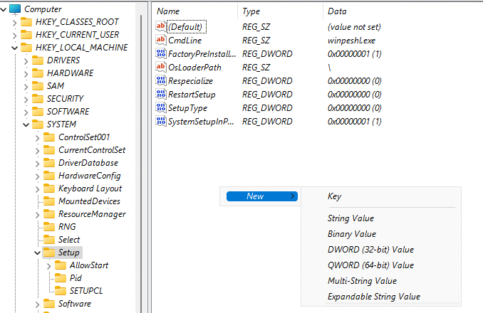 Windows 11 setup new key